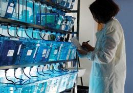 Researcher in a lab coat taking notes in front of shelves filled with blue-lit containers, possibly for experiments.