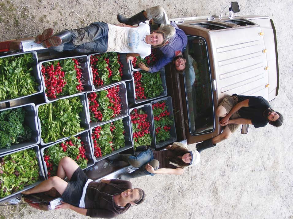 Overhead view of people lying around a pickup truck bed filled with crates of fresh radishes and green vegetables.