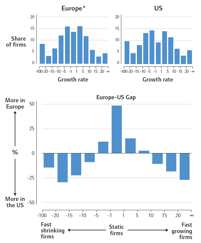 Bar charts comparing firm growth rate distribution and Europe-US gap.